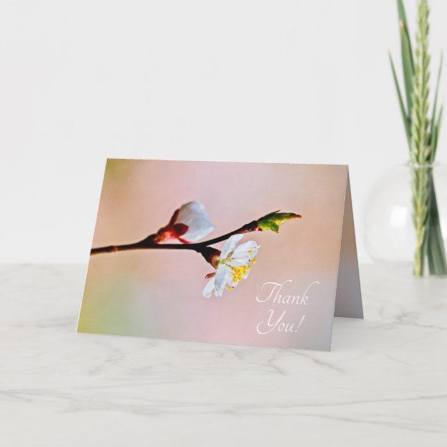 Tarjeta De Agradecimiento Dos hermosas flores de albaricoque japonesas (Anverso)