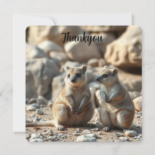 Tarjeta De Agradecimiento Dos Rottnest Australianos Es Land Quokkas,