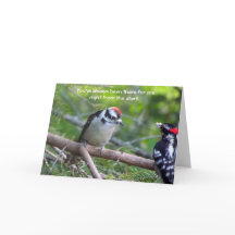 Downy Woodpecker Card para un padre o tutor