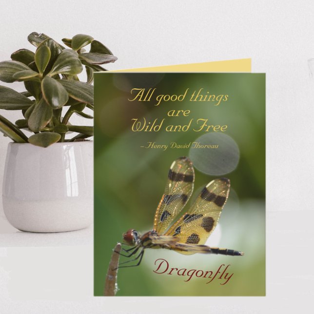Tarjeta De Agradecimiento Dragonfly All Good Things Wild and Free Note cards (Subido por el creador)