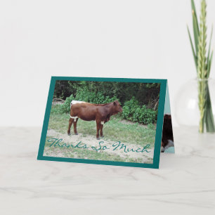 Tarjeta De Agradecimiento Dsta-Gracias-personalizar