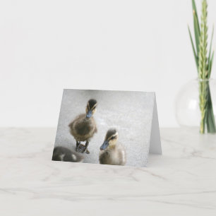 Tarjeta De Agradecimiento Duckling Blank Card