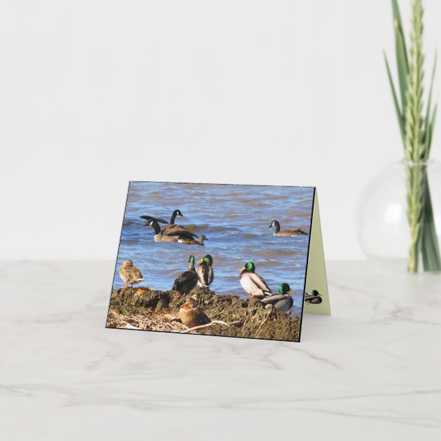 Tarjeta De Agradecimiento Ducks Waters Geese Gracias (Anverso)