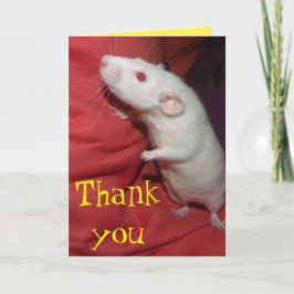 tarjeta de agradecimiento Dumbo Rat