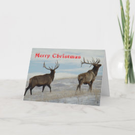 Tarjeta De Agradecimiento E57 Big Bulls on Snow Christmas Card