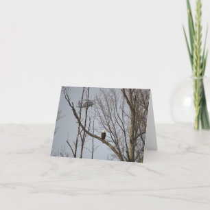 Tarjeta De Agradecimiento Eagle calvo y BlackHawk Notecard - esconda dentro