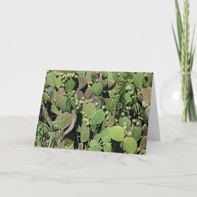 Tarjeta de agradecimiento "East Coast Cacti" (Anverso)