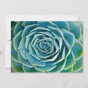 Tarjeta De Agradecimiento Echeveria Roseta, Jardín Secreto de Marrakech