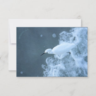 Tarjeta De Agradecimiento Egret/gaviotas de ganado vacuno reciclados