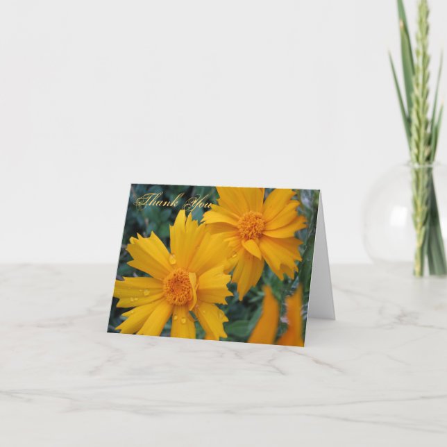 Tarjeta De Agradecimiento El 1:17 de James le agradece cardar (Anverso)