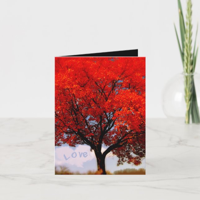 Tarjeta De Agradecimiento ¡El amor está en el aire... (Anverso)