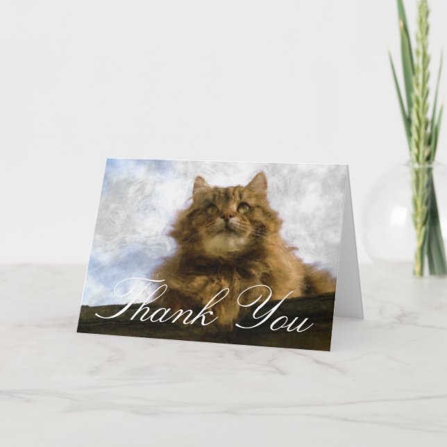 Tarjeta De Agradecimiento El arte impresionista del gato de Coon de Maine le (Anverso)