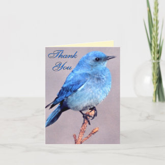 Tarjeta De Agradecimiento El Bluebird occidental le agradece cardar