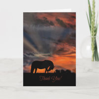 El caballo hermoso y la salida del sol le