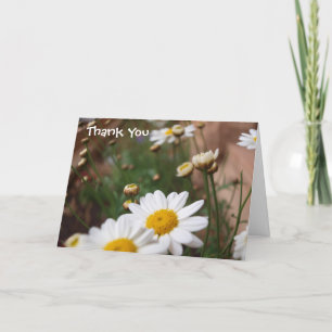 Tarjeta De Agradecimiento El campo de casarse de las margaritas le agradece