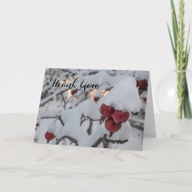 Tarjeta De Agradecimiento El cangrejo Apple Nevado le agradece (Anverso)