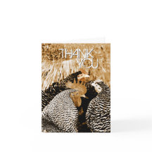 El casarse de los pollos del tono de la sepia le