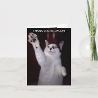 EL CAT DEL GATITO LE AGRADECE CARDAR