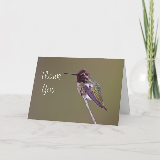 Tarjeta De Agradecimiento El colibrí de Ana le agradece (Anverso)