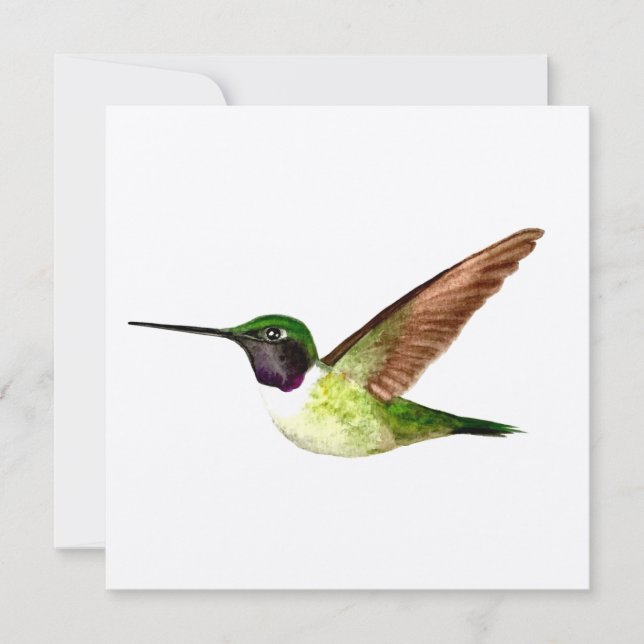 Tarjeta De Agradecimiento El colibrí de Anna en vuelo (Anverso)