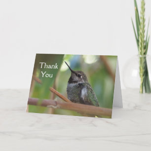 Tarjeta De Agradecimiento El colibrí le agradece cardar