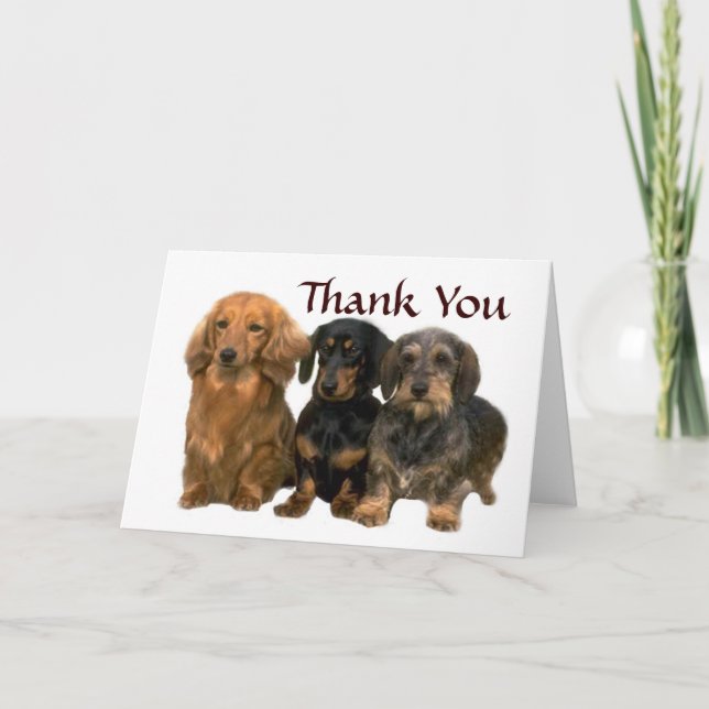 Tarjeta De Agradecimiento El Dachshund le agradece cardar (Anverso)
