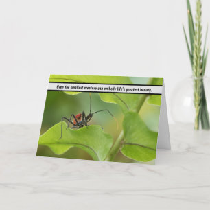 Tarjeta De Agradecimiento "El delicado equilibrio de la naturaleza - Insecto