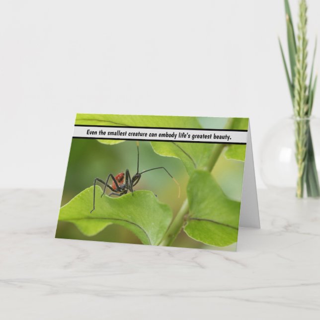 Tarjeta De Agradecimiento "El delicado equilibrio de la naturaleza - Insecto (Anverso)