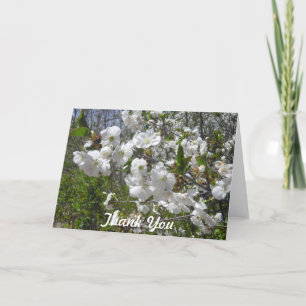 Tarjeta De Agradecimiento El Dogwood le agradece cardar