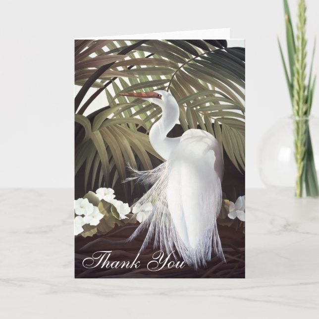Tarjeta De Agradecimiento El Egret "le agradece" cardar (Anverso)