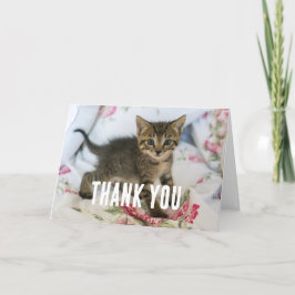 Tarjeta De Agradecimiento El Gatito De Tabby Cuyo Asombro Parece