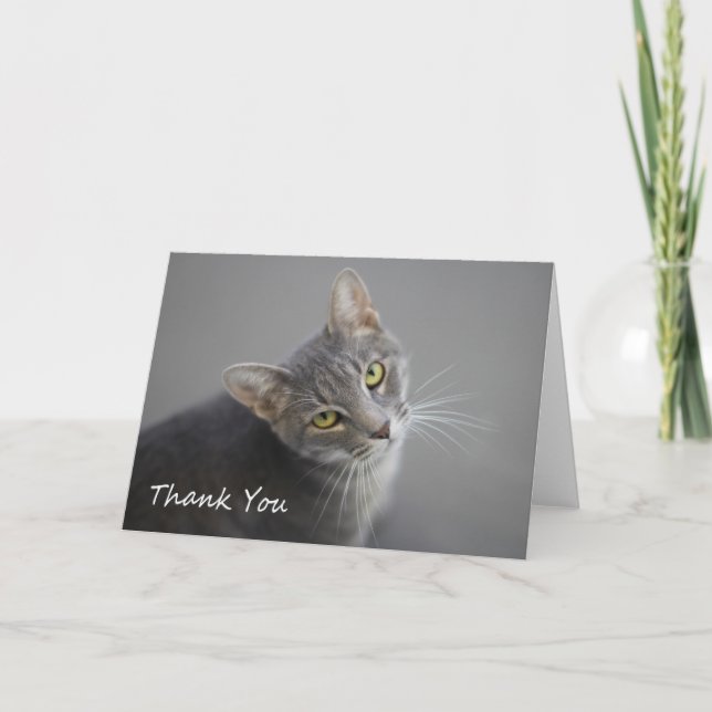 Tarjeta De Agradecimiento El gato de Tabby gris le agradece cardar por el (Anverso)