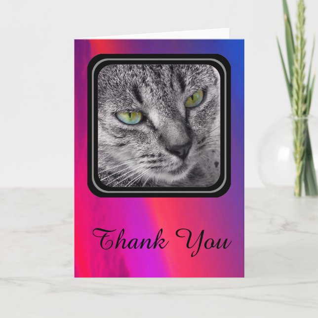 Tarjeta De Agradecimiento El gato de Tabby le agradece cardar - rosa del (Anverso)