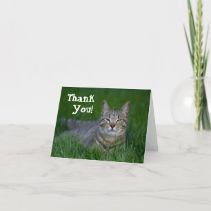 Tarjeta De Agradecimiento El gato de Tabby sonriente le agradece
