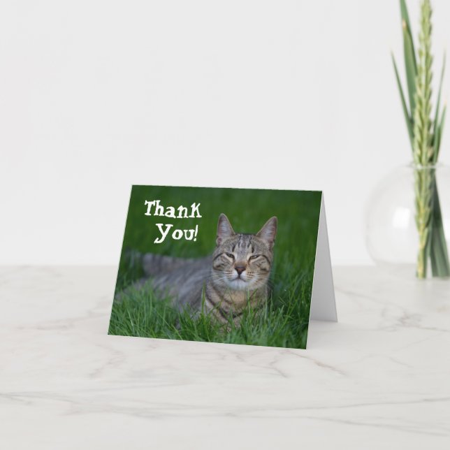 Tarjeta De Agradecimiento El gato de Tabby sonriente le agradece (Anverso)
