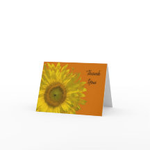 El girasol amarillo en el Naranja Gracias