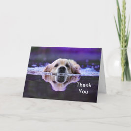 Tarjeta De Agradecimiento El golden retriever le agradece cardar