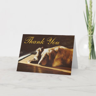 Tarjeta De Agradecimiento El golden retriever y el gato le agradecen cardar
