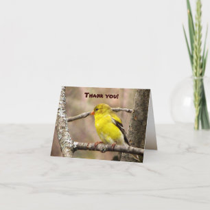 Tarjeta De Agradecimiento El Goldfinch le agradece