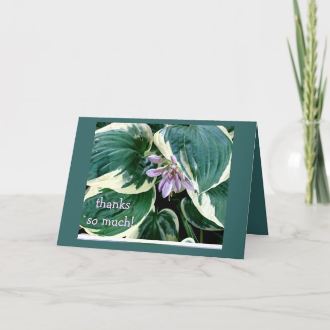 Tarjeta De Agradecimiento El Hosta le agradece cardar (Anverso)