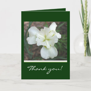 Tarjeta De Agradecimiento El iris blanco le agradece cardar