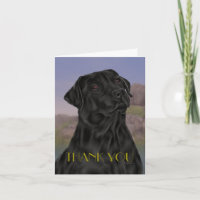 El labrador retriever negro le agradece