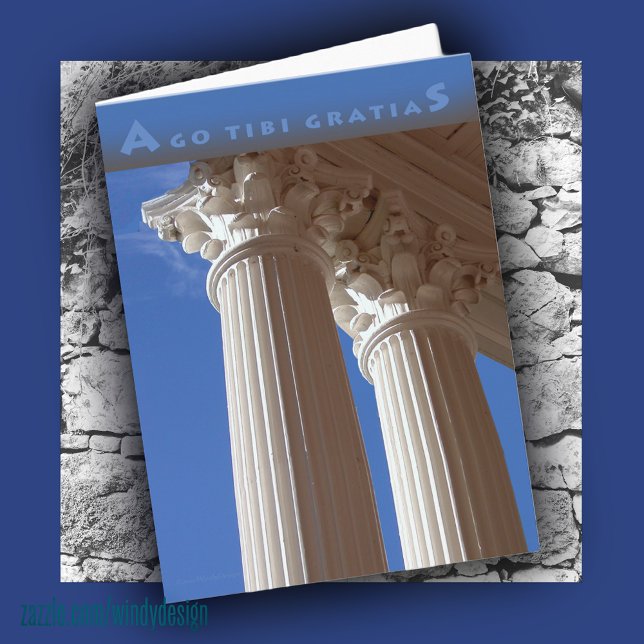 Tarjeta De Agradecimiento El latín le agradece cardar (Subido por el creador)