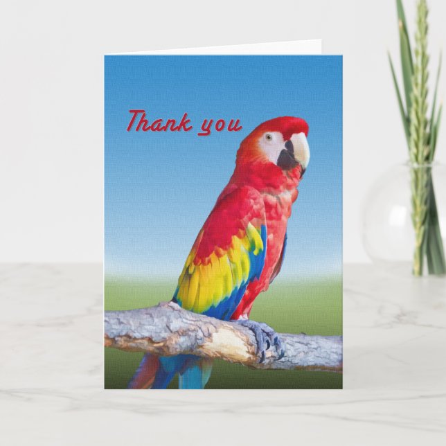 Tarjeta De Agradecimiento El loro del Macaw le agradece cardar (Anverso)