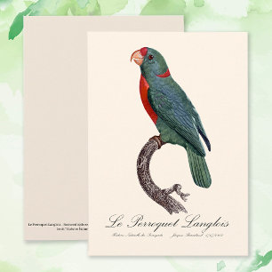 Tarjeta De Agradecimiento El loro Langlois de Jacques Barraband