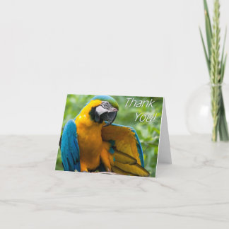 Tarjeta De Agradecimiento El Macaw le agradece Notecards