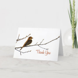 Tarjeta De Agradecimiento El pequeño pájaro le agradece observar