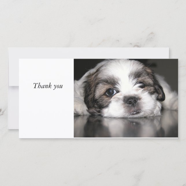 Tarjeta De Agradecimiento el perrito más lindo nunca, gracias (Anverso)