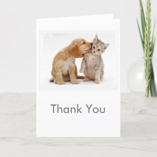 Tarjeta De Agradecimiento El perrito y el gatito le agradecen cardar