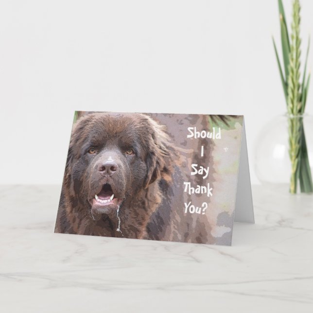 Tarjeta De Agradecimiento El perro de Terranova le agradece (Anverso)